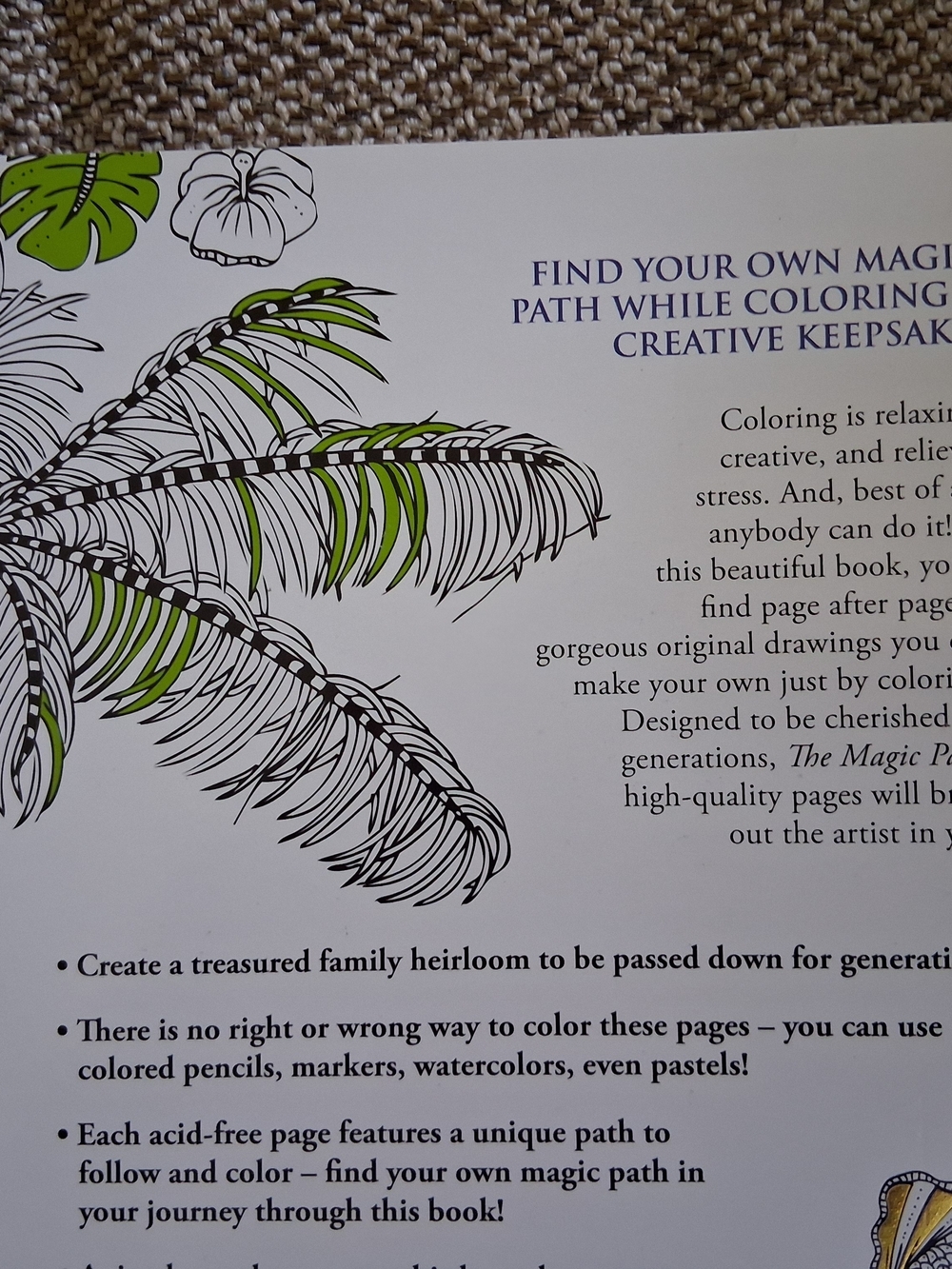 NWT Colorama The Magic Path Coloring Book - Picture 5 of 10